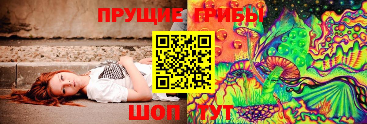 Псилоцибиновые грибы MAGIC MUSHROOMS  Псилоцибиновые грибы мухоморы  Вход с VPN  что такое   Мценск 